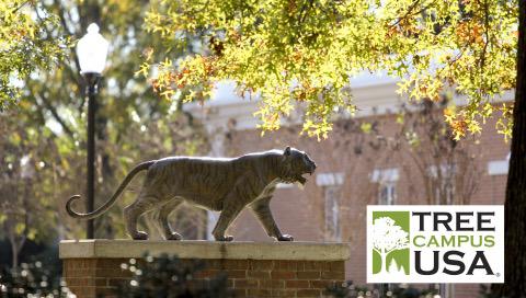 UWA Bronze Tiger Tree Campus USA